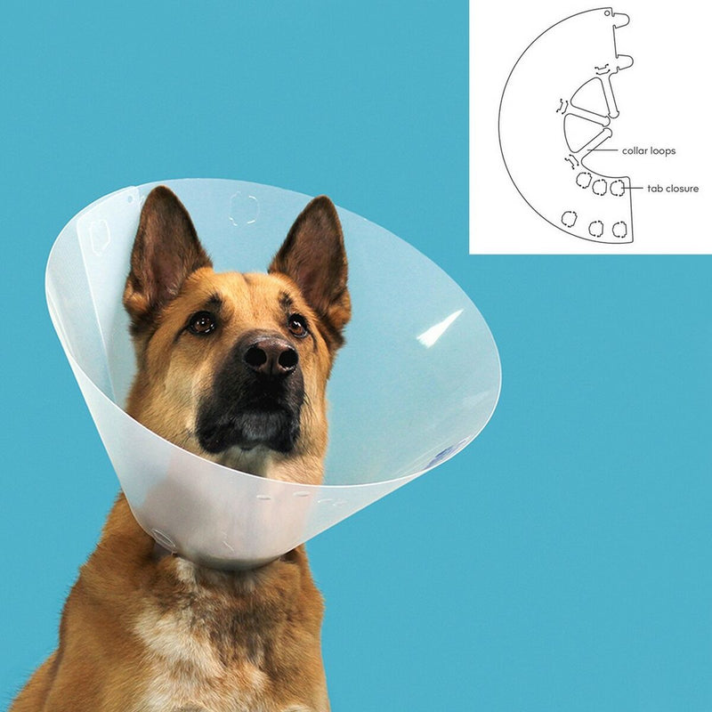 Hunde-Halskrause KVP Quick Fit Durchsichtig (23-27 cm)