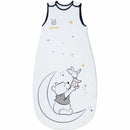 Schlafsack Disney Winnie the Pooh 6-36 Monate