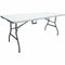 Table Klapptisch Metall Kunststoff (180 x 75 x 74 cm)