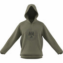 Herren Sweater mit Kapuze Adidas Emblem Graphic grün