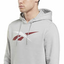 Herren Sweater mit Kapuze Reebok Essentials Vector Grau