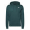 Herren Sweater mit Kapuze Reebok Identity Fleece grün