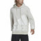 Herren Sweater mit Kapuze Adidas Essentials Giant Logo Grau