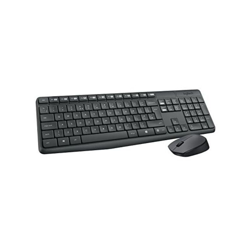 Tastatur mit Drahtloser Maus Logitech 920-007919 Grau