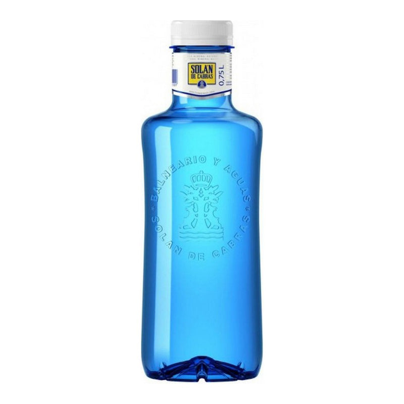 Natürliches Mineralwasser Solan De Cabras (0,5 L)