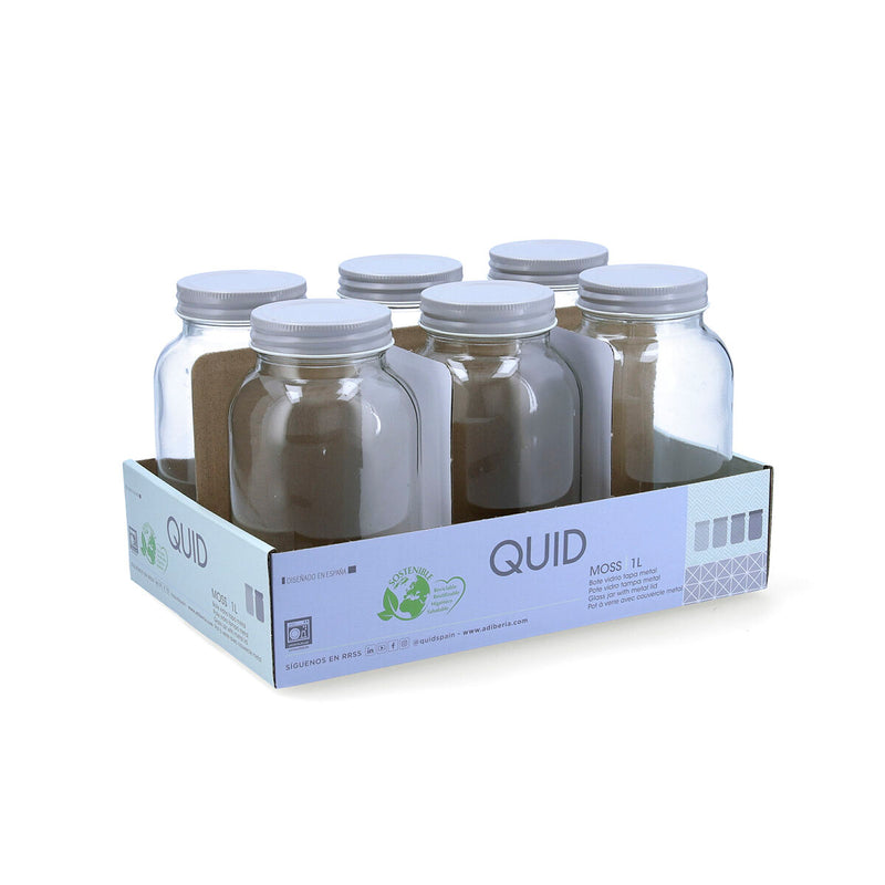 Topf Quid Moss Grau Glas (1 L) (Pack 6x)