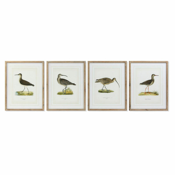 Bild DKD Home Decor S3017831 Vögel (55 x 2,5 x 70 cm) (4 Stück)