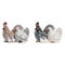 Deko-Figur DKD Home Decor Braun Weiß Harz Huhn (2 Stück) (15 x 15 x 12 cm)