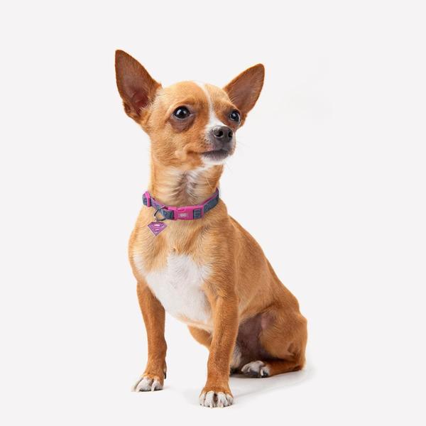 Hundehalsband Superman Rosa XS/S