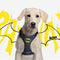 Hundegeschirr Batman XXS/XS Blau