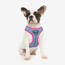 Hundegeschirr Superman Rosa M/L