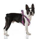 Hundegeschirr Superman XXS/XS Rosa XXS