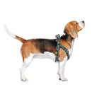 Hundegeschirr The Mandalorian Grau XS/S