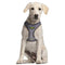 Hundegeschirr The Mandalorian Grau M/L