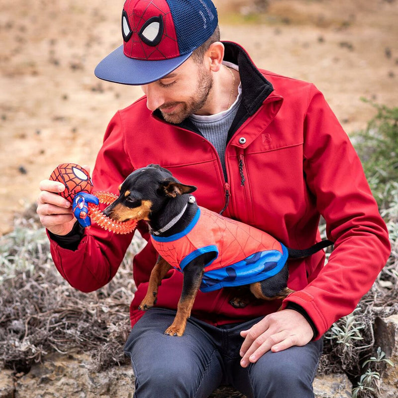 Hundespielzeug Spiderman   Rot 100 % polyester