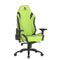 Gaming-Stuhl Newskill NS-CH-NEITH-ZE-BLACK-GREEN