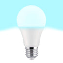 LED-Lampe TM Electron E27 (5000 K)