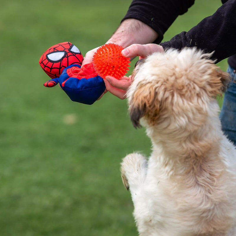 Hundespielzeug Spiderman Rot