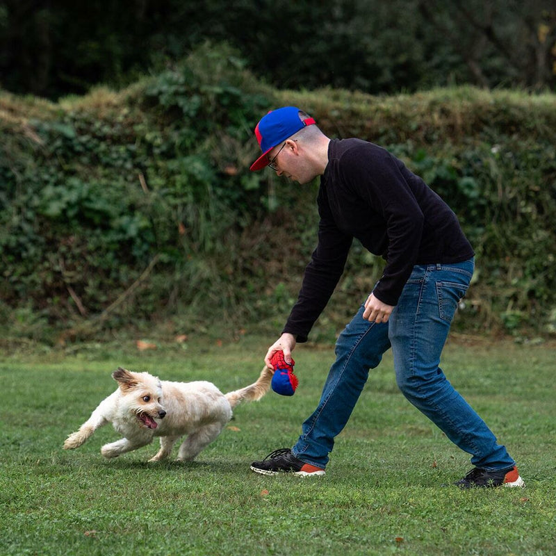 Hundespielzeug Spiderman Rot