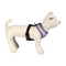 Hundegeschirr Disney Grau XS/S