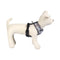 Hundegeschirr Disney Grau XS/S